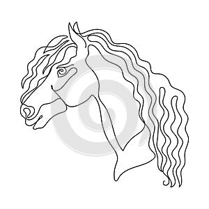 One line drawing art of horse head photo