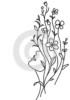 One line drawing. Beautiful young woman with long hair and decorative herb and wild flowers. Natural cosmetic concept