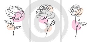 One line drawing. Decorative beautiful english garden rose with bud and color spots. Minimalist hand drawn sketch.