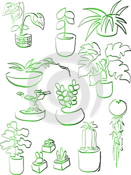 One line drawing ornamental plants art