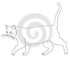 One line drawing of walking cat. Pet vector illustration.