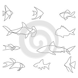 One line fish design silhouette. Logo design. Hand drawn minimalism style vector illustration.