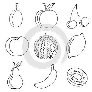 One line illustration with fruits