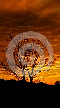 One is the loneliest number