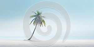 One lonely palm tree on a white beach. Calm sae with mist. Tranquil seashore landcsape. Generative AI