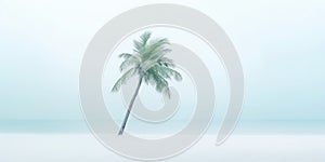 One lonely palm tree on a white beach. Calm sae with mist. Tranquil seashore landcsape. Generative AI