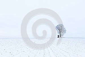 One lonely tree with a hunting lookout on a field with snow during winter