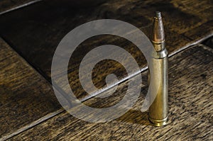 One Magnum Centerfire Cartridge