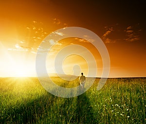 One man and field of summer grass