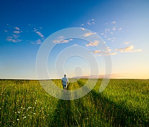 One man and field of summer grass