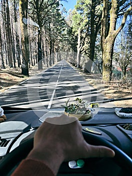 One man pov or his hands driving a vehicle on a long scenic trees asphalt road. Traveling and driving camper van truck. Freedom