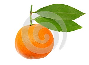 one mandarin with green leaf isolated on white background