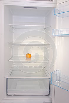 One mandarin in open empty refrigerator.
