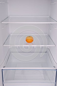 One mandarin in open empty refrigerator.