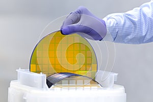One of many gold silicon Wafer with semiconductors in plastic white storage box takes out by hand in gloves inside clean