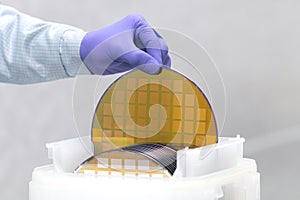 One of many gold silicon Wafer with semiconductors in plastic white storage box takes out by hand in gloves inside clean room