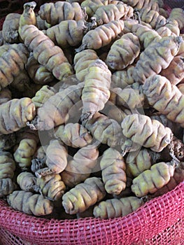 One of the many varieties of potatoes in Bolivia photo