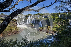 One of the many waterfalls on the Argentinian side of Iguazu Falls.