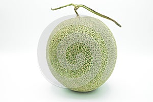 one and only melon with stem.