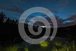 One million stars on the cloudy sky over the lake at the night. grass in the foreground long exposure. Milky way