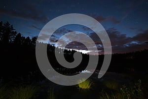 One million stars on the cloudy sky over the lake at the night. grass in the foreground long exposure. Milky way