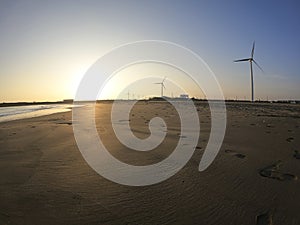 One morning, windmills along the coast