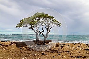 One of the most beautiful and highly rated beaches in the world - Wailea Beach, Maui, Hawaii, USA