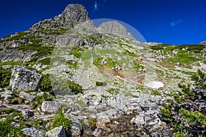 Jedna z najkrajších turistických destinácií na Slovensku. Letná krajina Vysokých Tatier. Hora Jastrabia Veža a