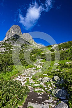 One of the most beautiful travel destination in Slovakia. Summer landscape of the High Tatras. The mount Jastrabia Veza and the