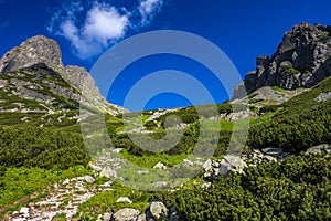 One of the most beautiful travel destination in Slovakia. Summer landscape of the High Tatras. The mount Jastrabia Veza and the