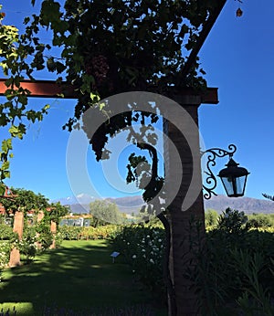 One of the multiple wineries in the foots of Andes, Mendoza, Argentina