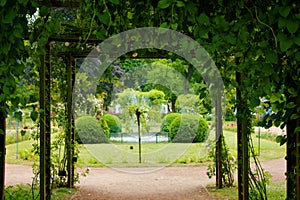 Park oin the city of nancy france photo