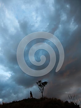 One with nature, a lone man stands next to a tree after sunset reflecting inner peace