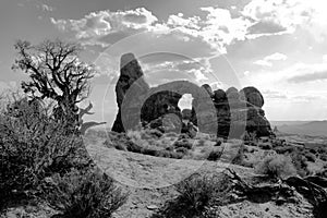 One of natures inspiring pieces of art in arches national park