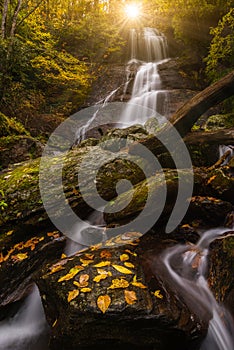 Sceninc waterfall and autumn forest canopy photo