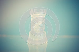 One object photopolymer printed on a 3d printer.