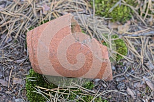 one old broken brown ceramic pot lies on green moss and soil