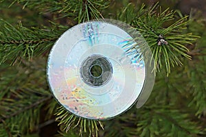 one old dirty colored compact disc hanging on a green coniferous branch