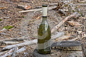 one old dirty green glass bottle stands on gray stump