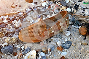 One old and dirty rubber shoe on the beach .