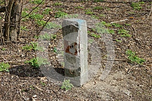 One old gray concrete restraining post stands in the ground photo