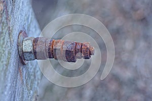 One old long iron bolt with brown and red rusty nuts