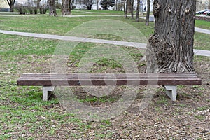 One old wooden brown bench in an old park