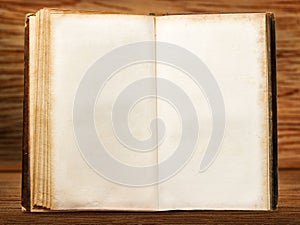 One open blank vintage book