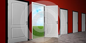 One open door among closed ones. Concept of choice