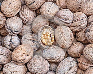 One open walnut on nutshells, tasty background