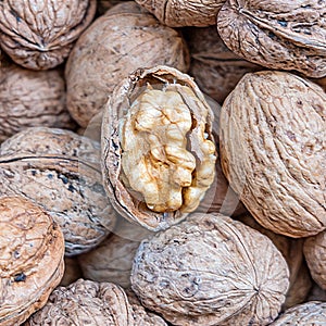 One open walnut on nutshells, tasty background