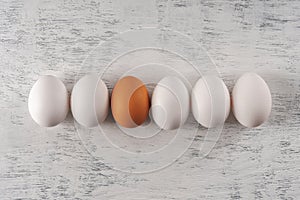 One orange egg among white eggs laid out in a row