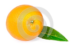 One orange fruit green leaf