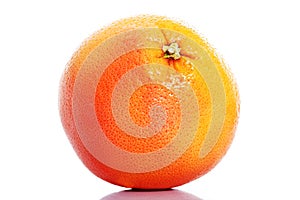 One orange fruit isolated.